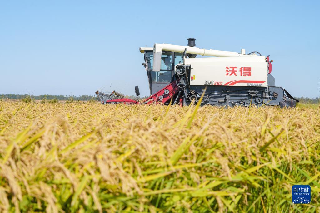 世爵用户登录平台